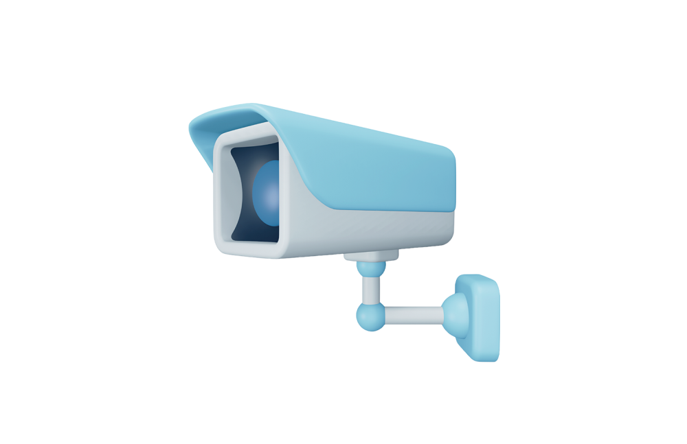 camera1